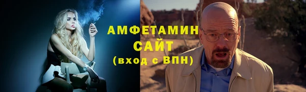 гашик Белокуриха