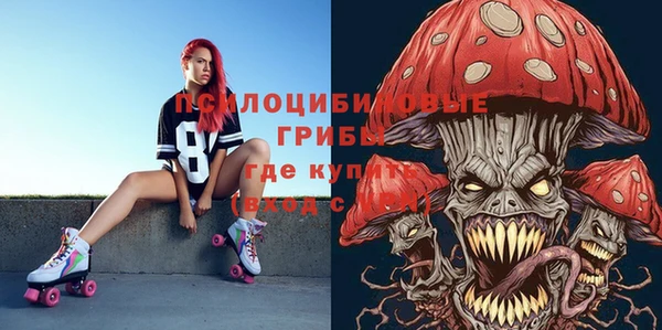 гашик Белокуриха