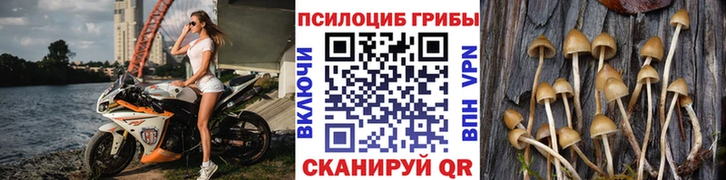 гидра как войти Обь Псилоцибиновые грибы мухоморы магазин