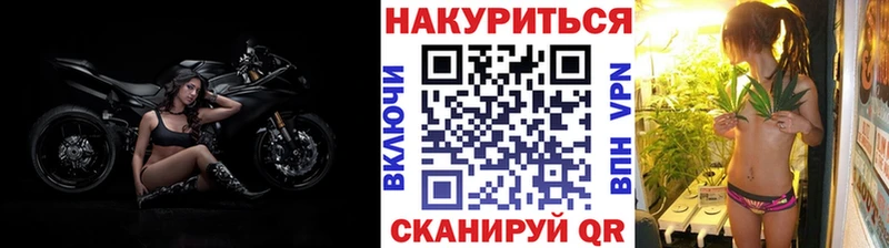 Бошки Шишки сатива  продажа наркотиков  Обь 